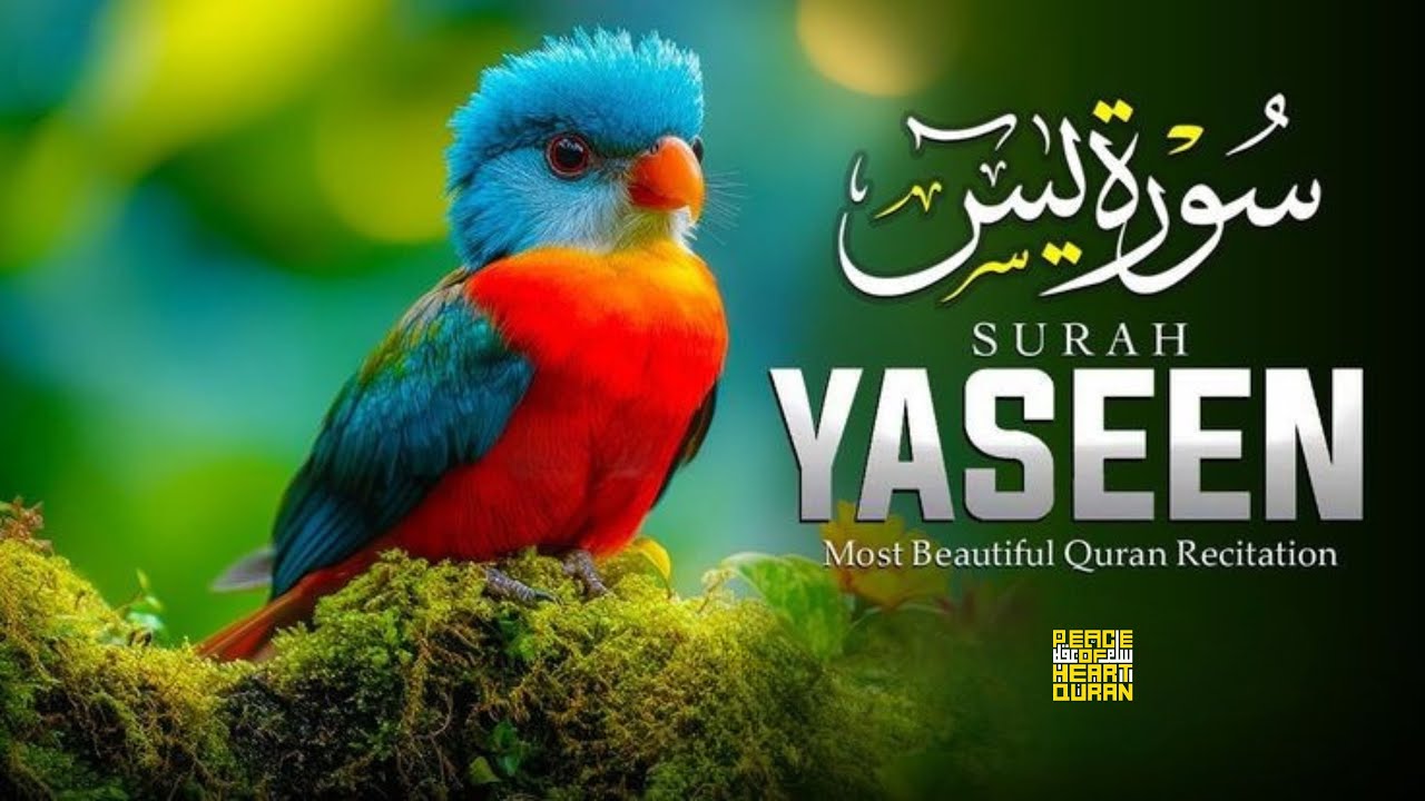 Surah Yaseen (Yasin) (سورة يس) | Stress Relief & Deep Sleep Quran Recitation #quranforsleep