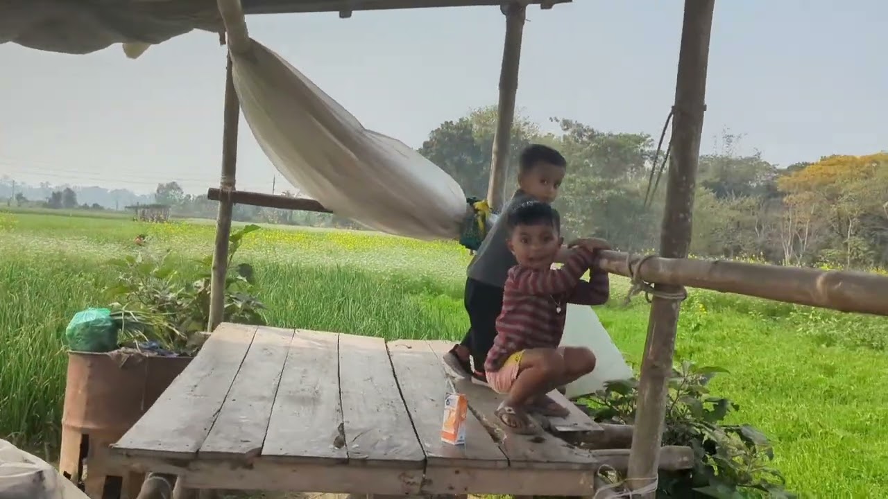  গ্রামটা ছবির মতো সুন্দর মাশাল্লাহ 🧑‍🤝‍🧑🌞🌼