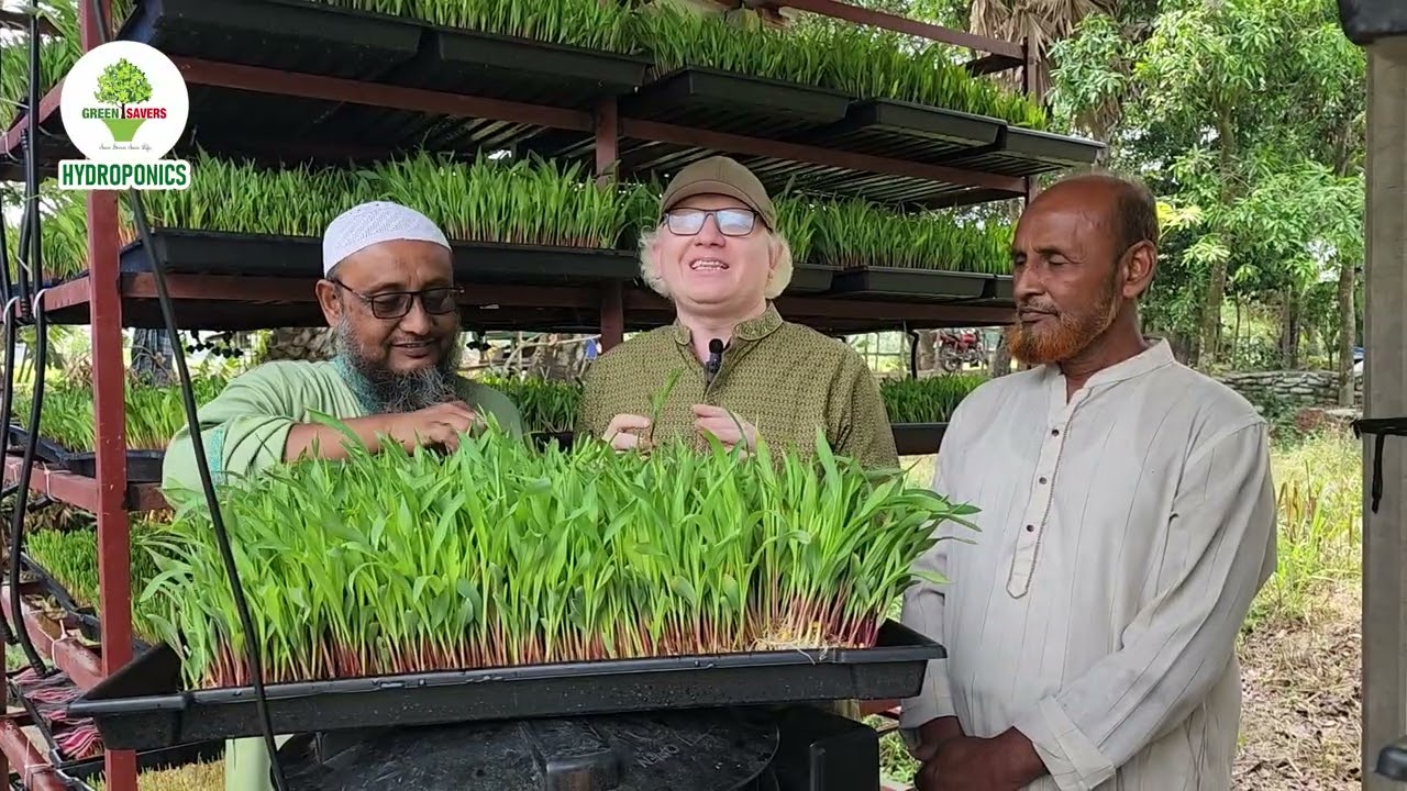 Hydroponics fodder Setup at Narshingdi