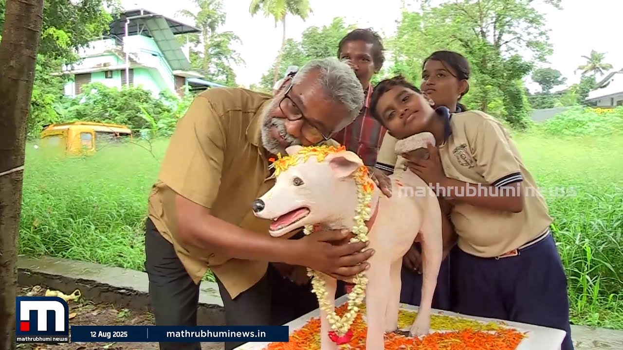 എൽദോ മരിച്ചിട്ടില്ല..സ്നേഹത്തിന്റെ മറുപേരായ ഒരു തെരുവുനായ..അവന് വേണ്ടിയൊരു സ്മാരകം| Stray Dog | Love