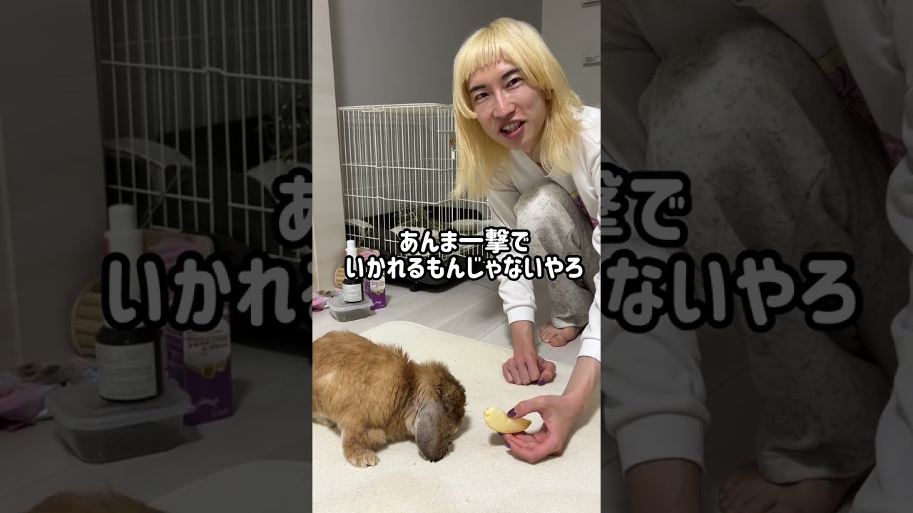 生前のみーたんと金髪さん