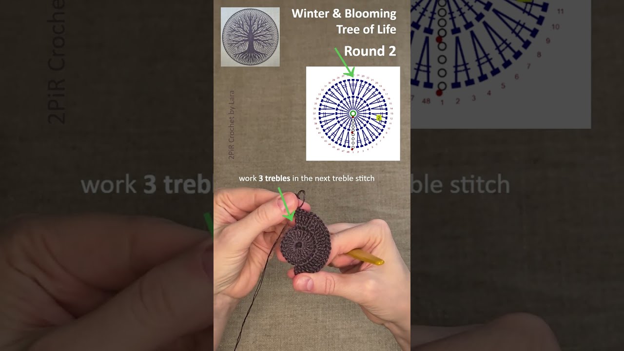 Winter & Blooming Tree of Life Mandala Crochet Pattern - Round 2