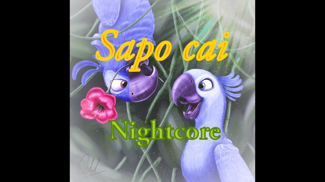 Rio- Sapo cai nightcore