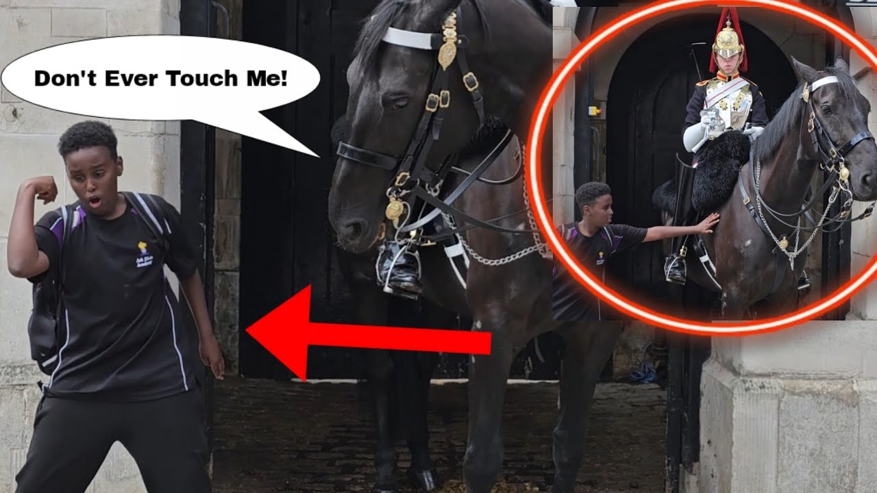 SHOCKING MOMENT! The horse reacted when he touched it!