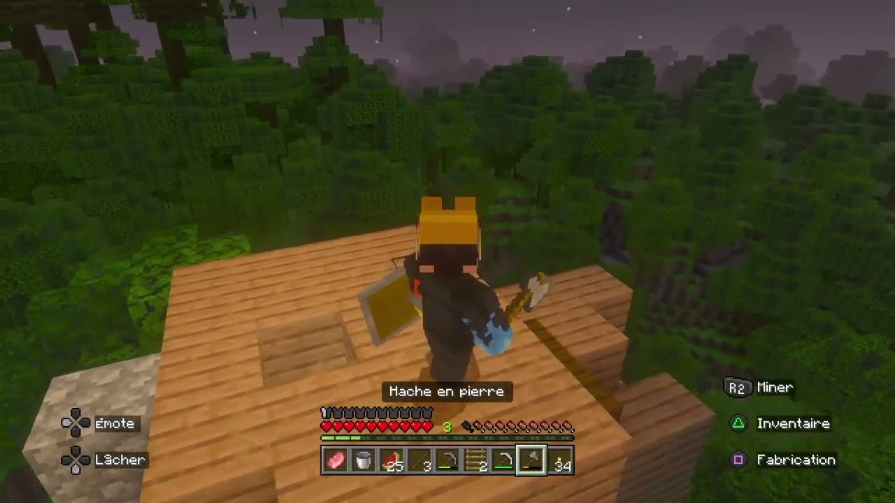 Mincraft One who watches p4