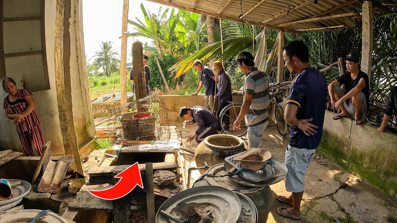 Tìm Cặp Rắn Đã Gi.ết Ch.ết Bầy Gà | TGSB #1178