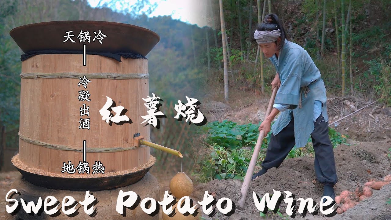 Brewing: Sweet Potatoes from Seedlings to Jugs of Wine