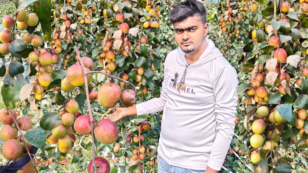 #INDIAN NURSERY all over India courier service available 🚉🚛📱... 8170943500