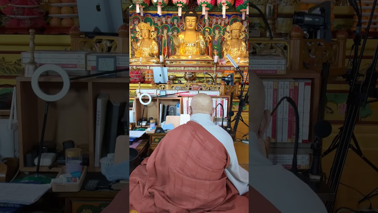 관음재일(제주대원정사극락원)님의 실시간 스트림