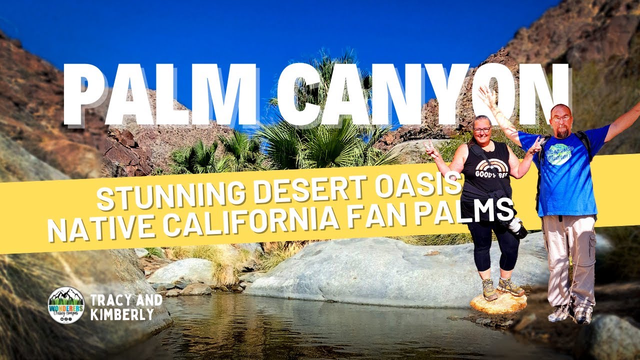 Palm Canyon Oasis Anza Borrego Springs California