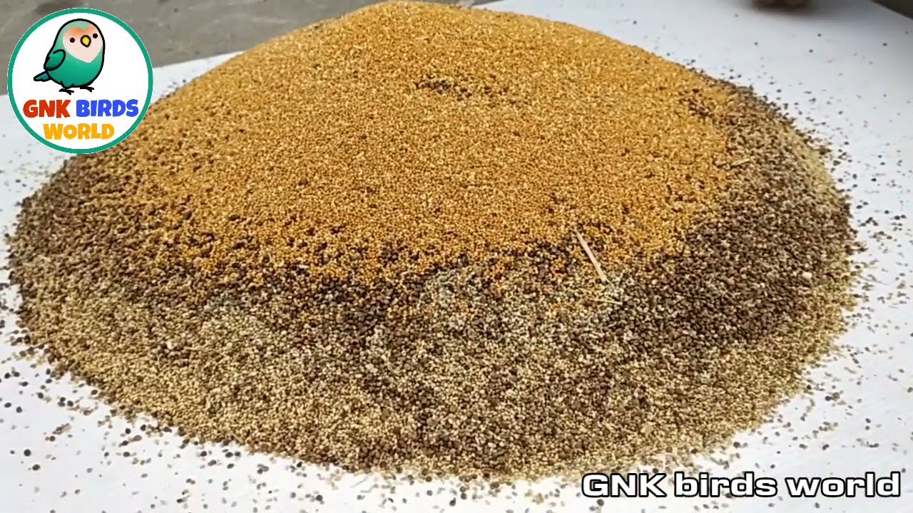 How to prepare a Seed mix for budgies/vargu/samai/kuthuravali/ calculate ratio for Seed mix in தமிழ்