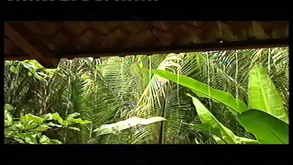 Wies Anders in Costa Rica