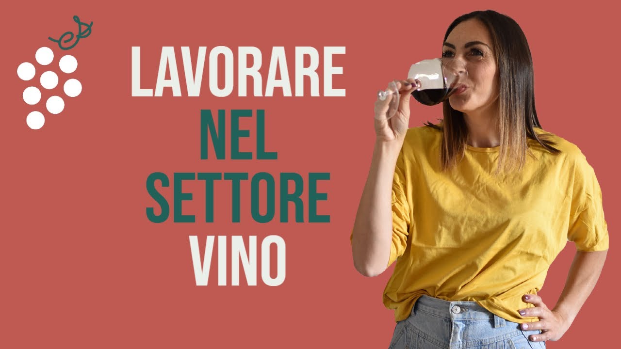 Come diventare professionisti nel settore vino?