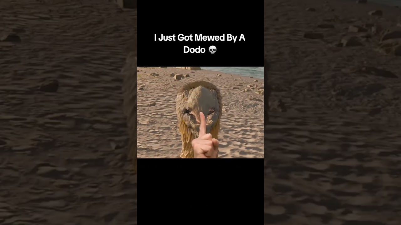 Dodos are mewing in the new ARK update... 