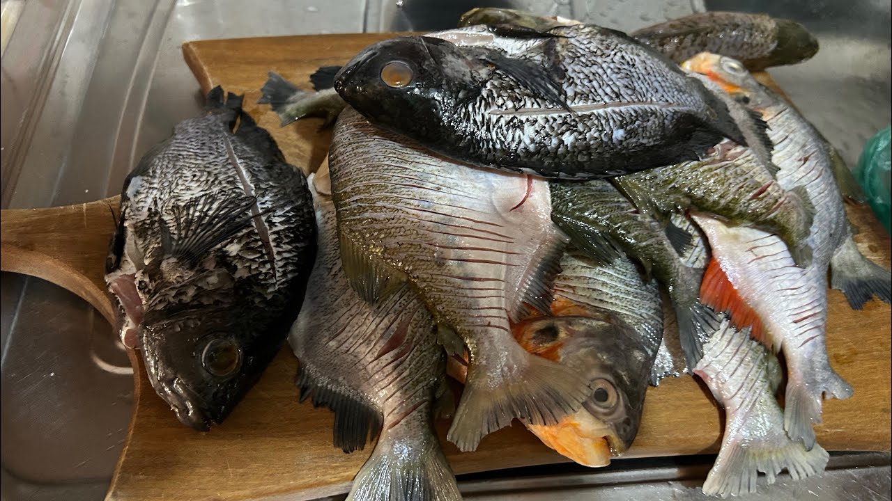 Peixe frito para o almoço 
