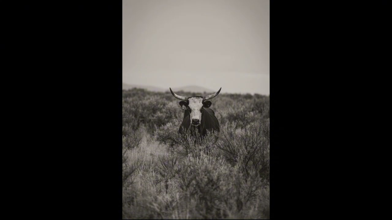 Country Rap Type Beat - 