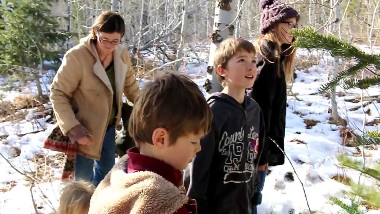 Cutting a Christmas tree in the mountains