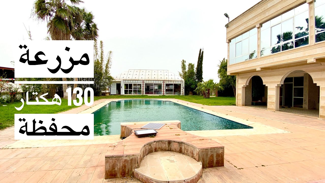 ( تم كراء )       20 كلم. من مدينه القنيطرة مزرعه سقوية محفظه مساحتها 130 هكتار   212661247058