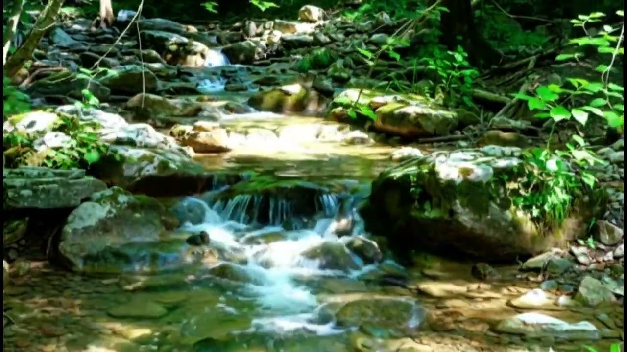 3 Hours of Relax: Let the River Wash Away Your Insomnia Calming Forest Stream & Birds Chirping