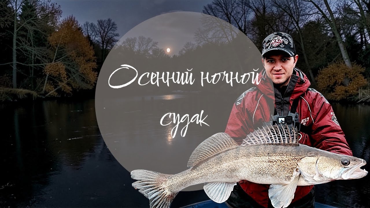ОСЕННИЙ НОЧНОЙ СУДАК: КАК МЫ ЛОВИЛИ ГИГАНТА В ТЕМНОТЕ!   