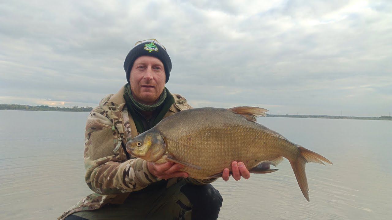 Leszcz 4 kg - Method Feeder.