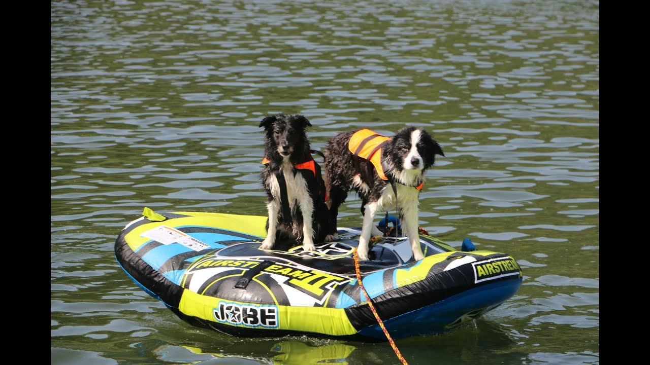 Quicksilver Active 555 Open with Tube and Wakeboard Fun 2014 Mosel