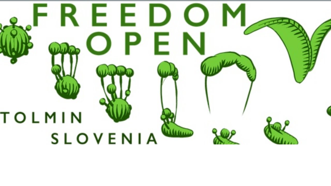Freedom Open, Slovenia Tolmin( NIVIUK X-ONE )