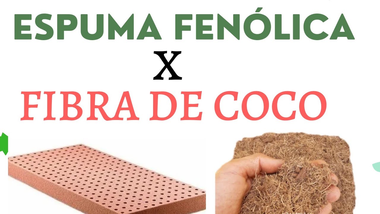 Espuma fenólica x Fibra de coco