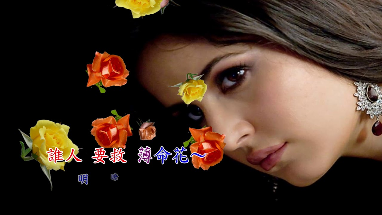 胡美紅　酒家女
