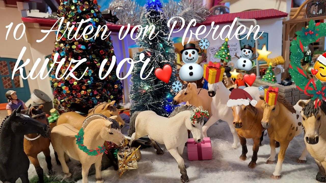 10 Arten von Pferden kurz vor Weihnachten🎅🎄☃️(lustig)🤣