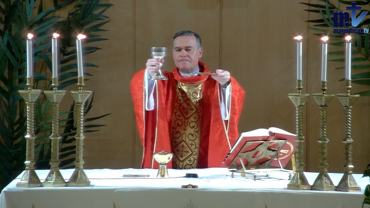 La Santa Misa de Hoy | Domingo de Ramos de la Pasi&oacute;n del Se&ntilde;or (29-03-2026) | P. Javier Mart&iacute;n, FM