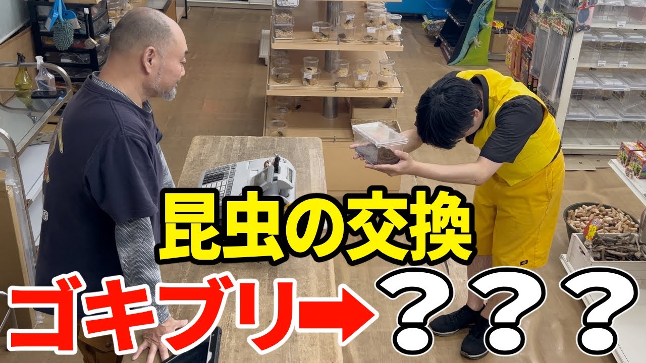 昆虫ショップ店長に昆虫のトレードをお願いした結果！！？