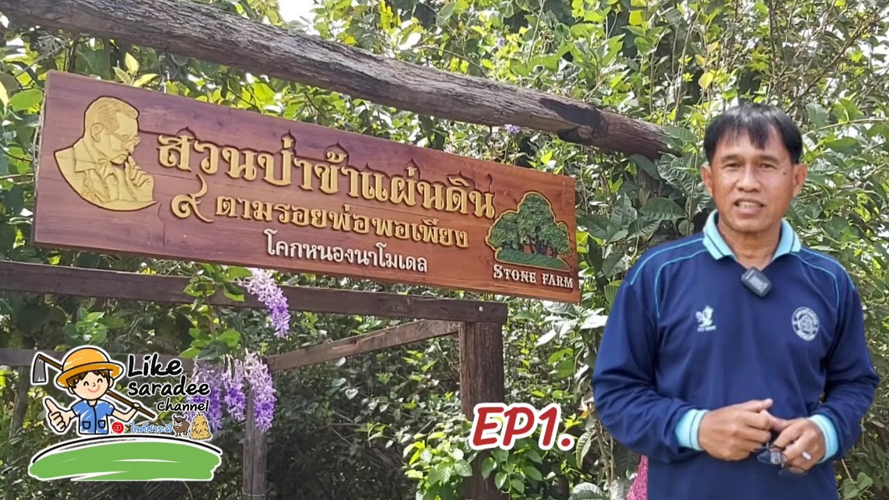 EP1 สวนป่าข้าแผ่นดิน ต.หนองขนาก อ.ท่าเรือ จ.พระนครศรีอยุธยา