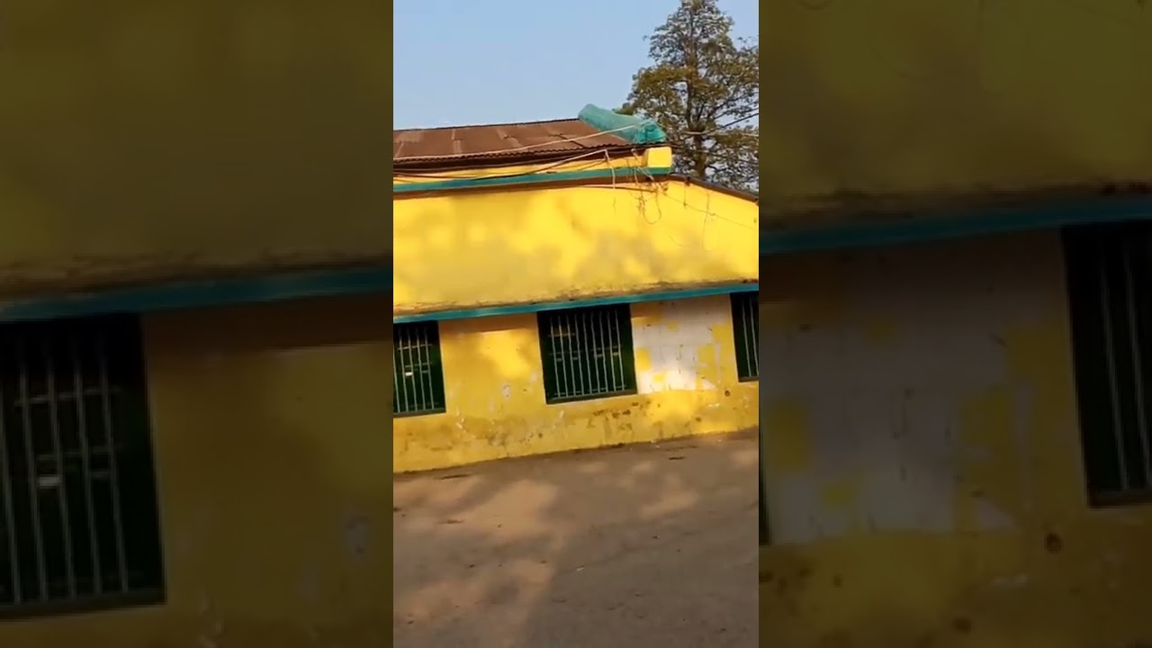 Dhamdaha Block Vlog | Vlog of Dhamdaha Block |    #vlog #youtubevlog #viral #trending