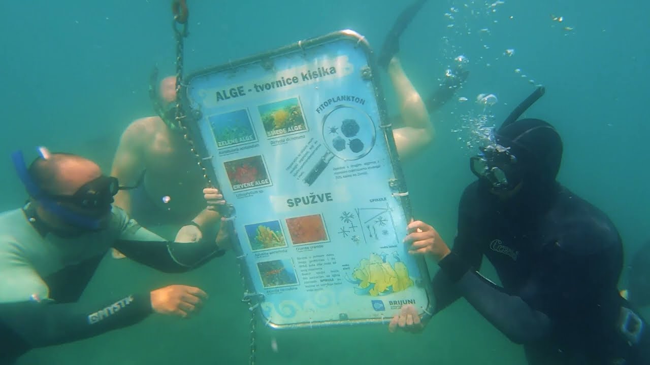 Snorkeling NP Brijuni