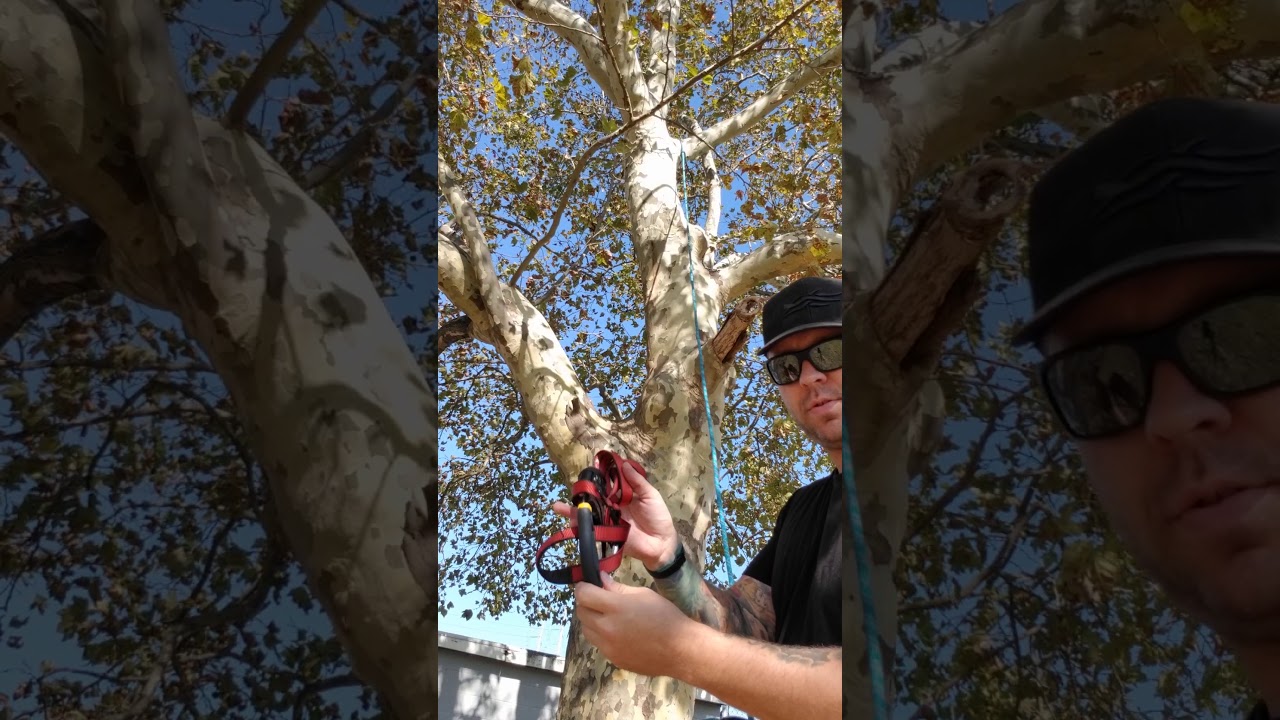 Telescoping pole for srt drt saddle hunting