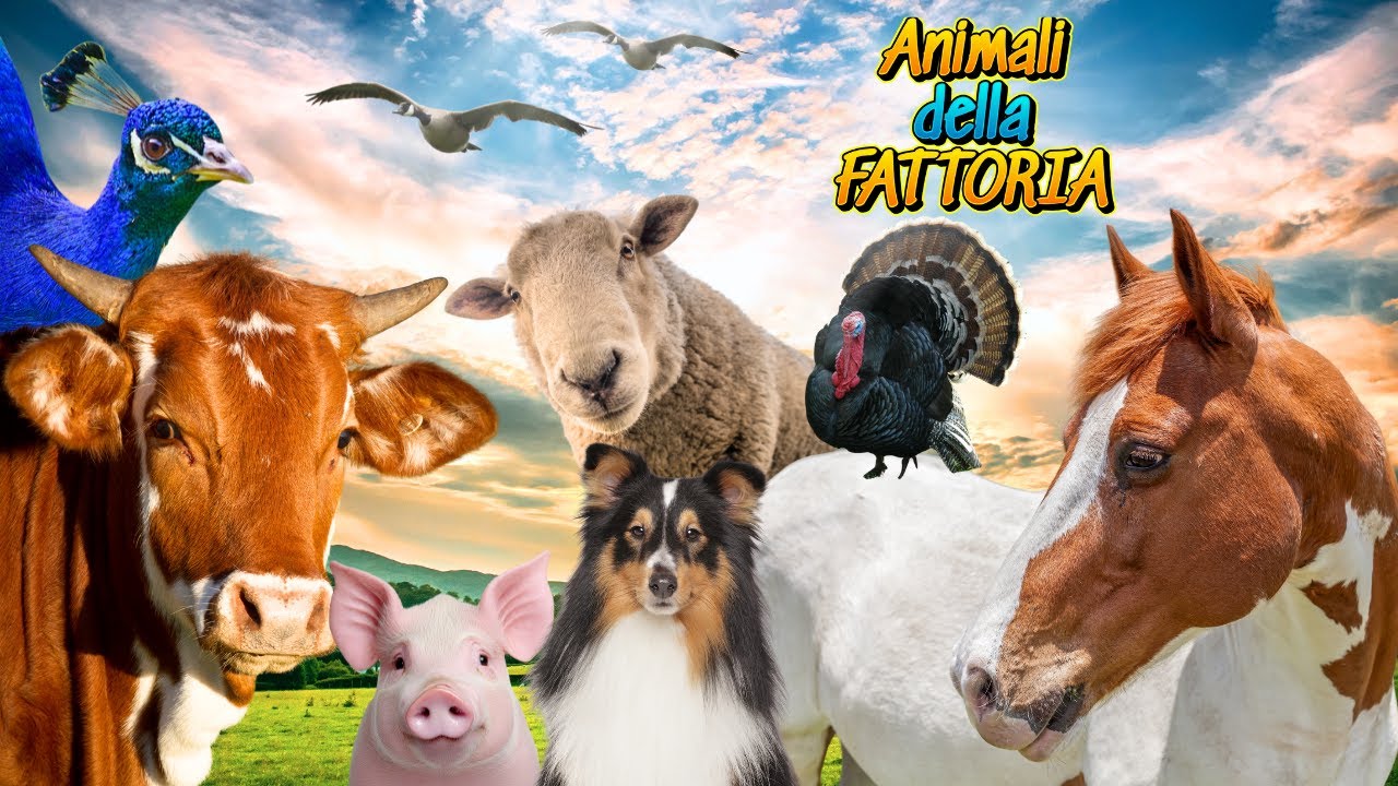 ANIMALI DELLA FATTORIA: Curiosità su Cavallo, Asino, Mucca e altri animali (anche i meno conosciuti)
