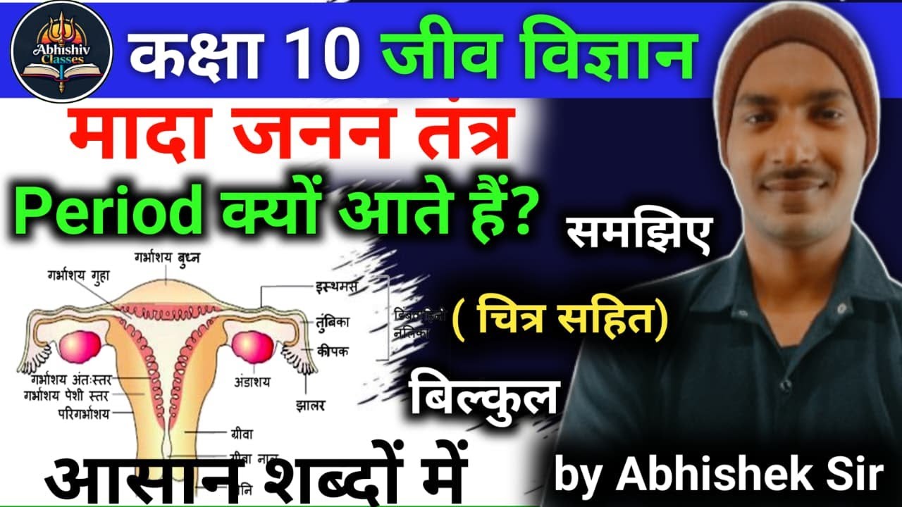मादा जनन तंत्र #पीरियड क्यों आते हैं#abhishivclasses