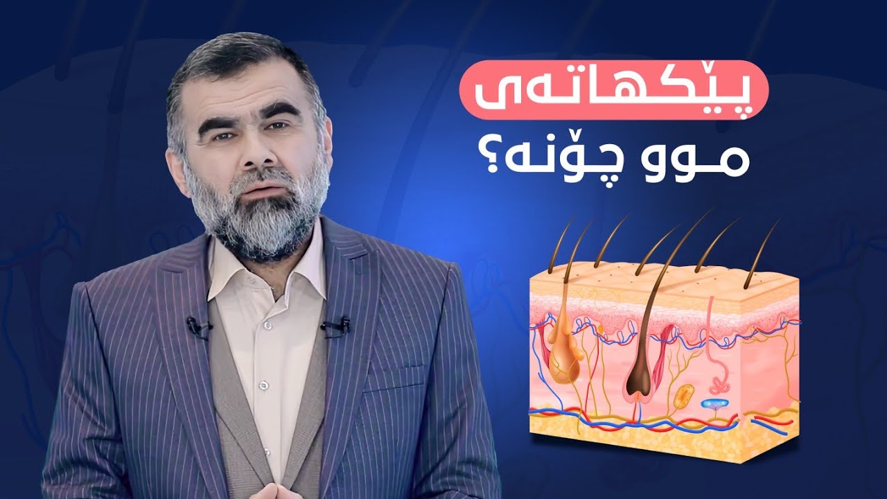 پێکهاتەی موو چۆنە؟