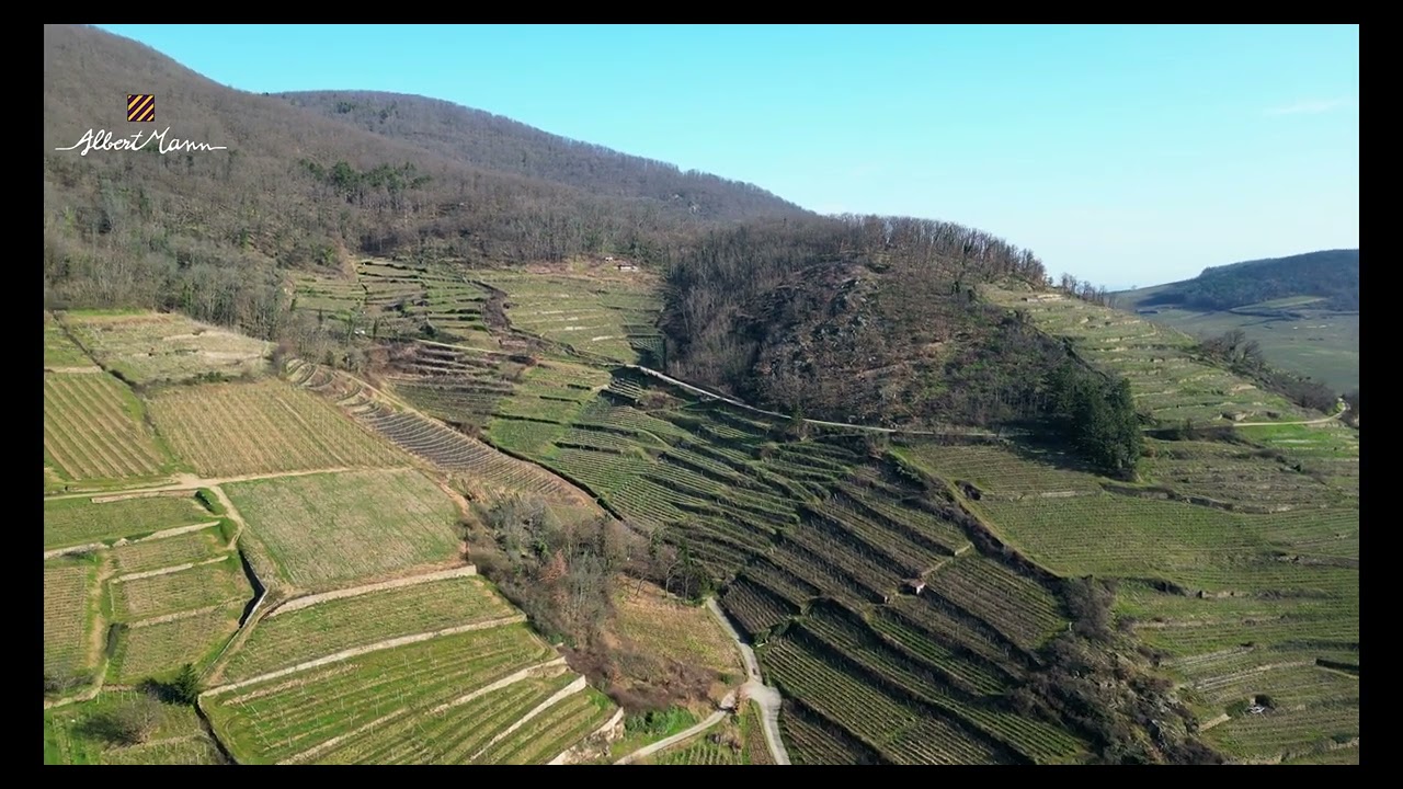 Le Grand Cru Schlossberg célèbre ses 50 ans - Domaine Albert Mann