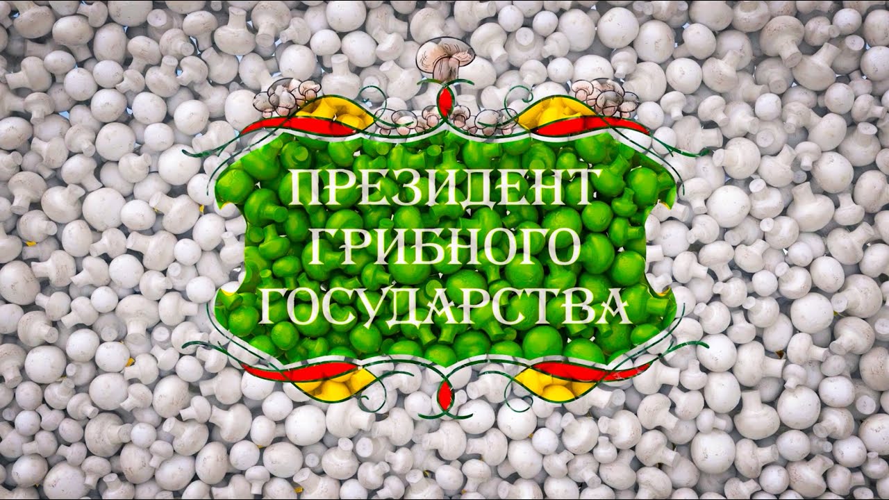 Президент грибного государства