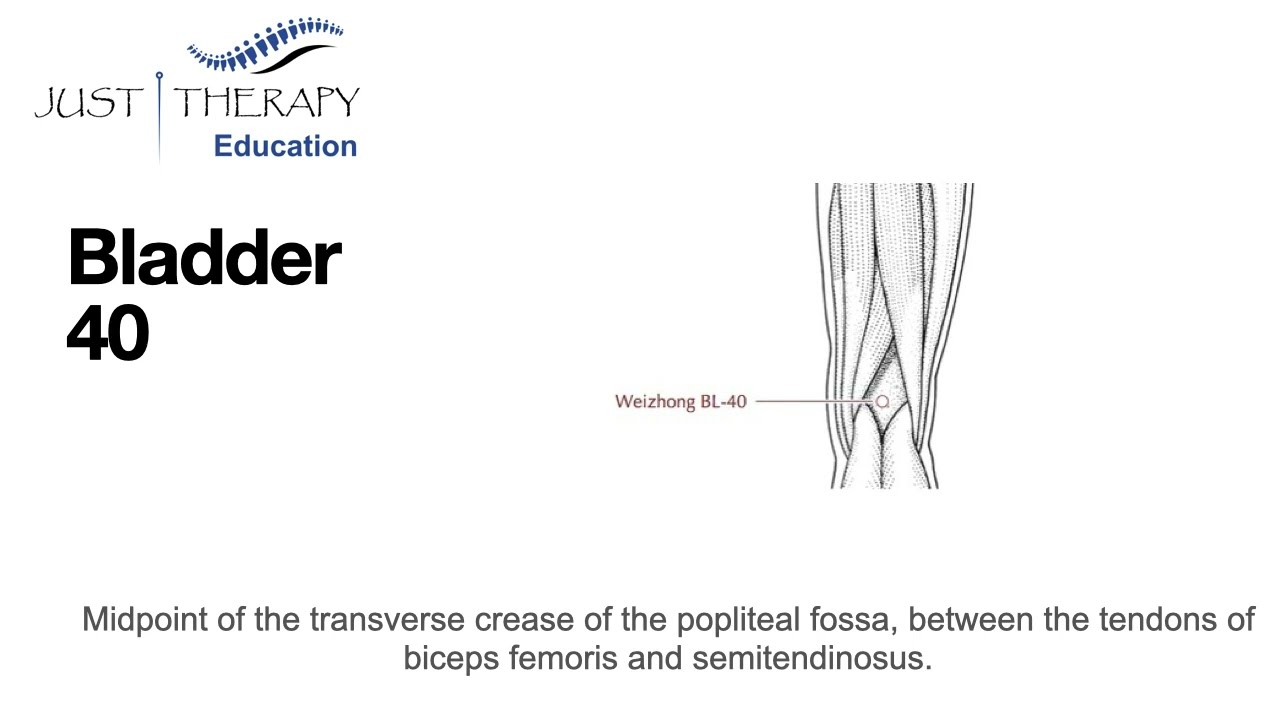 BL40 acupuncture point