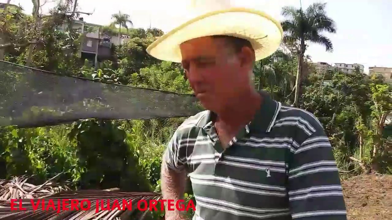 ENCANTOS DE CIDRA FINCA RANDAL ALICEA