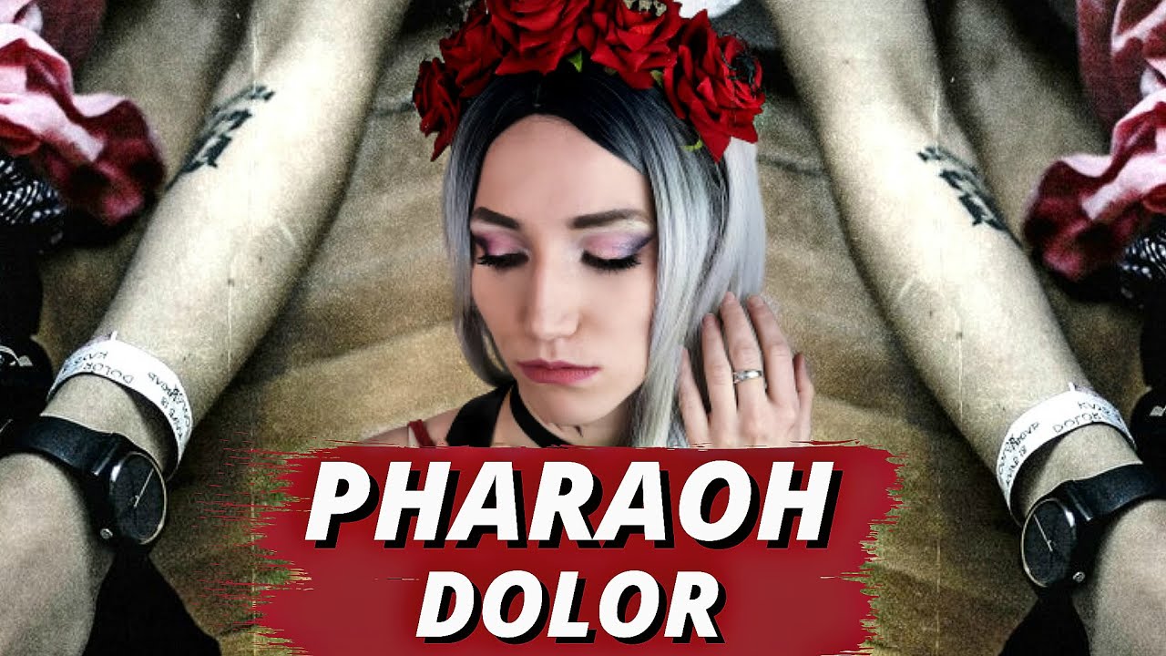 PHARAOH DOLOR| Реакция ВАМПИРА