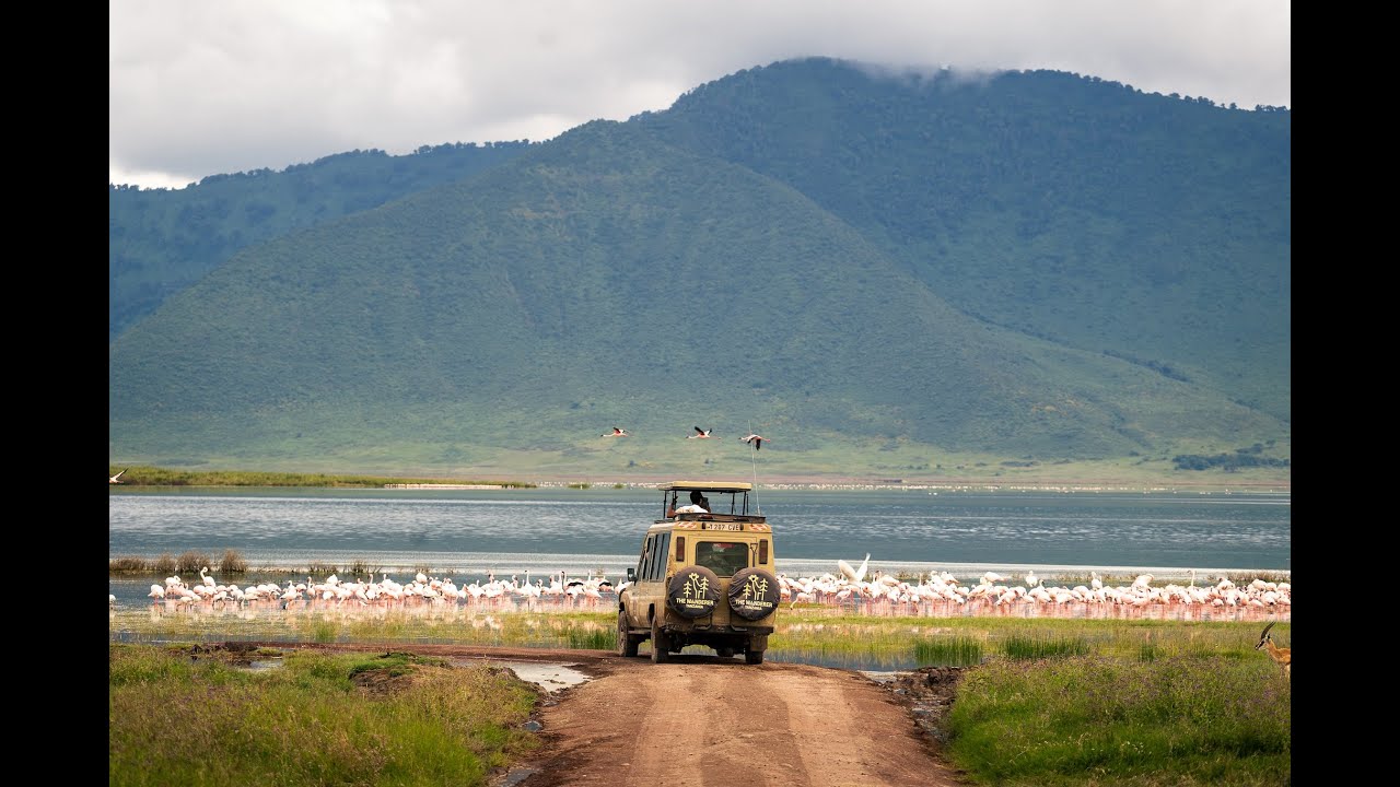 Your Safari in Tanzania