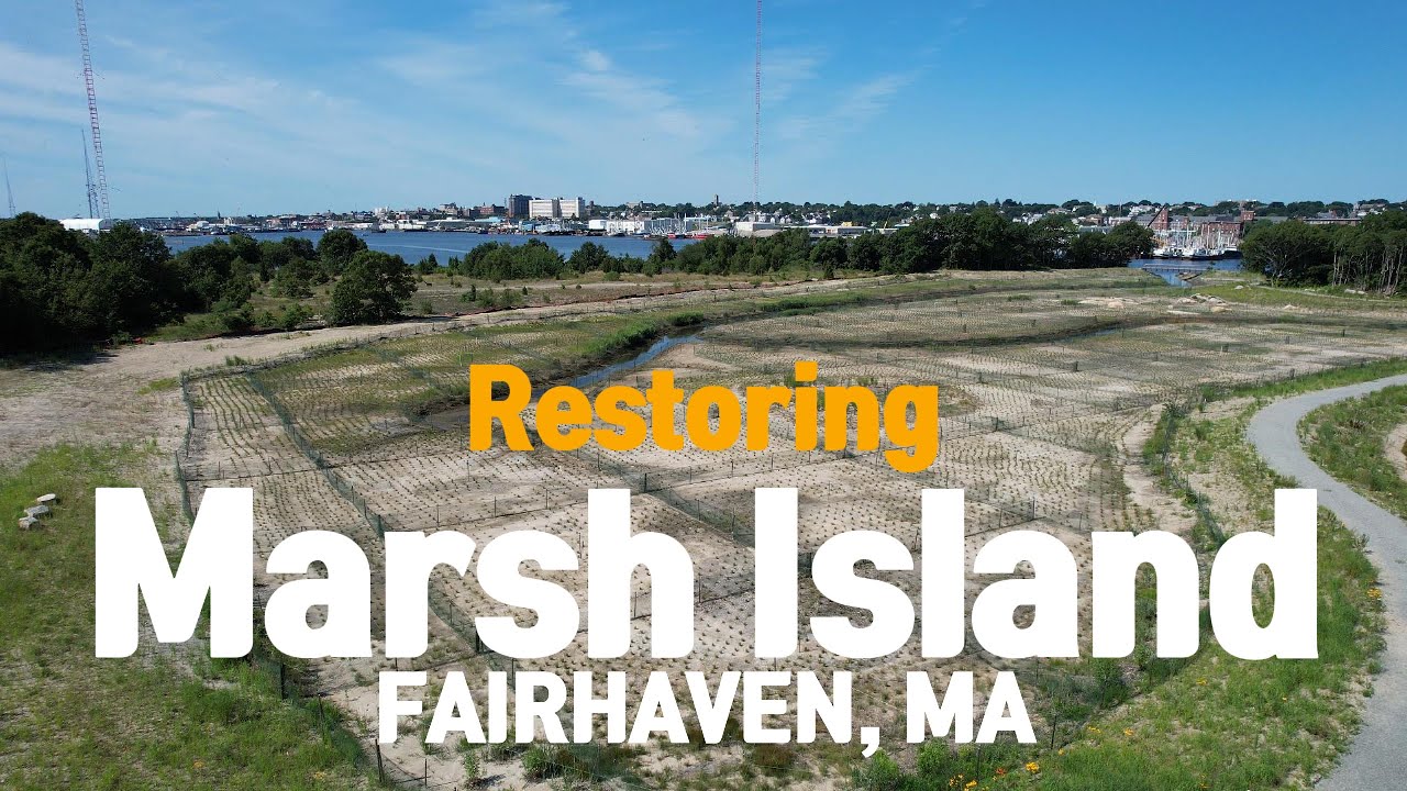 Marsh Island Salt Marsh Restoration Project
