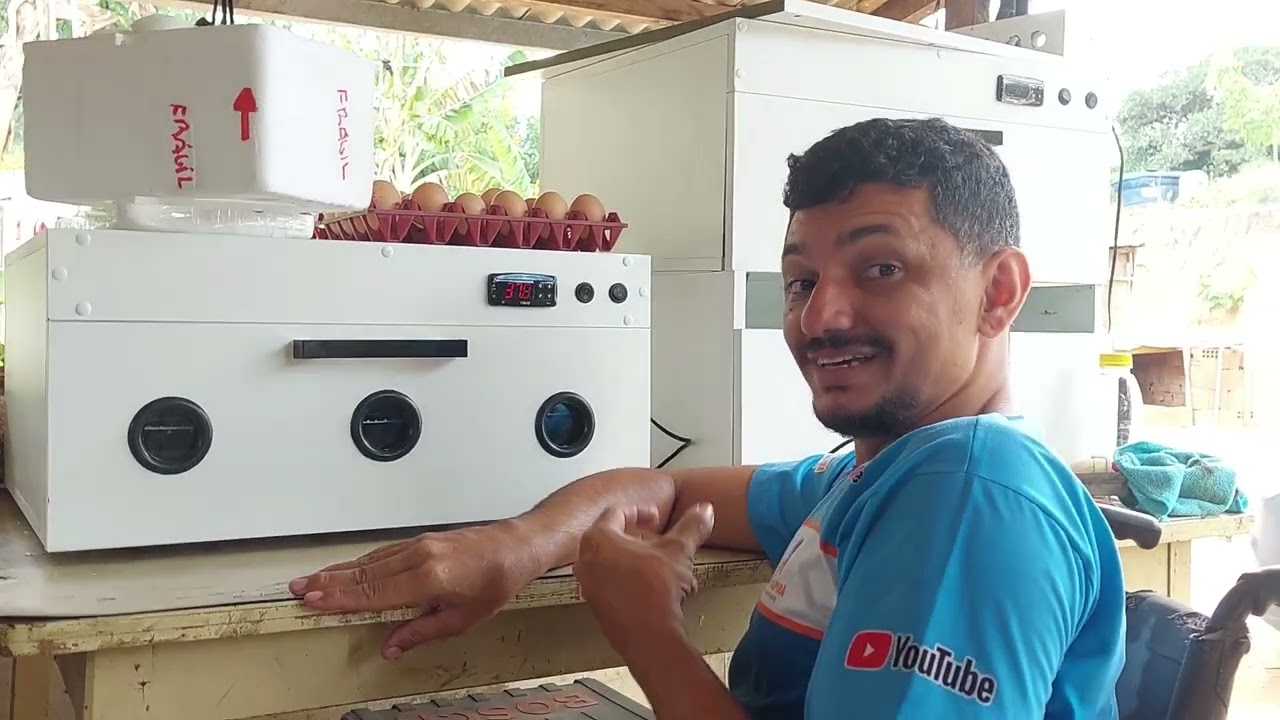 Como ter até 100% de eclosão na sua chocadeira