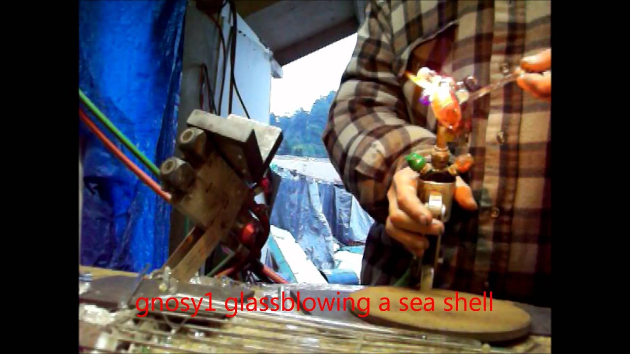 gnosy1 glassblowing sea shell
