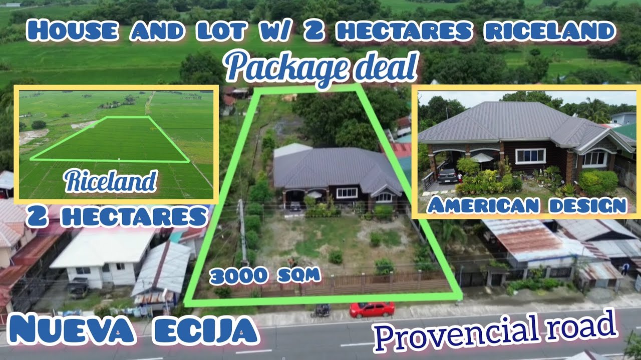 Lot665 American design House and lot w/ 2 has riceland packagedeal pati gamit.W/ fruit bearing trees