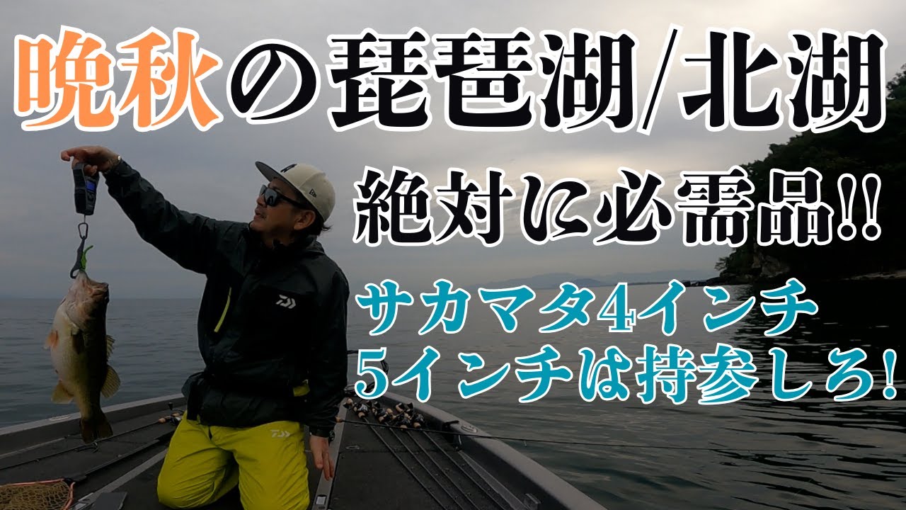晩秋の琵琶湖バス釣り対決！ビックフィッシュバトル 1本の重たいやつでどうだ。